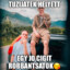 Csicskafijam Totó