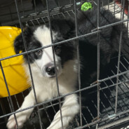 我曾只身撼昆仑