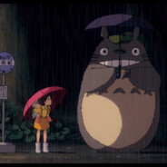 不要紧山野都有雾灯