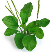 𝞹o𝕯oPo}|{HụK