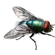 我成尊不就是了？