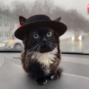 Таємно Пернув