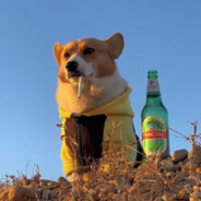 悦刻5電子煙の中华卷煙