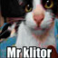 Mr.Klitor