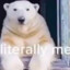 Chill Polar Bear