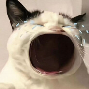 跑者的最高殿堂