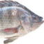 Yustak