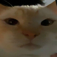 Dren