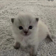 вввввввввв