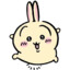 Usagi