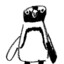 klemson