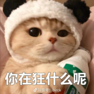 狂拽大少爷重生之我是权志龙