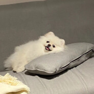 这片天 灰什么呢