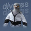 Divoras
