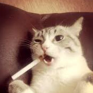 никитос папирос