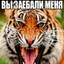 ya proklyat naxyi((((((