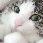 edd2x4 - steam id 76561197960443462