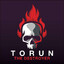 TorunTheDestroyer