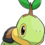 Turtwig