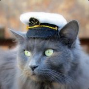 Admiral Puss Puss