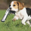 BEAGLE DE DEAGLE