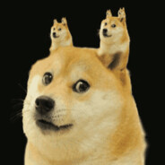 TwoShiba