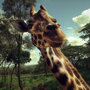 сын одиссея - steam id 76561199647040934