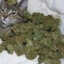 CAT ON HASH