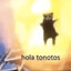 Tonotos
