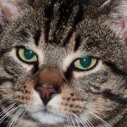 PluM*_- - steam id 76561197960293310