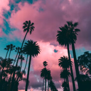 BeverlyPhills - steam id 76561197962644627
