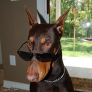 𝔻𝕠𝕓𝕖𝕣𝕞𝕒n