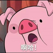 猪猪！