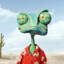 RaNgO