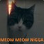 MEOW MEOW NİGGA