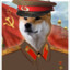 Comrade Dogeboii