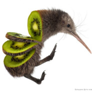 kiwi's avatar