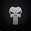 ThePunisher505