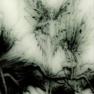 Nocturne - steam id 76561199041828544