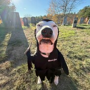 харизматичный