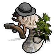 Player Avatar