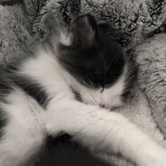 fa1k - steam id 76561198156411671