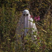 TIMOXA - steam id 76561199825013427