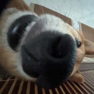 翻斗花园后退手潲水政