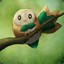 sr_rowlet01