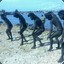 气质你四哥！