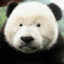 强丶无敌