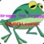Broggy The Froggy