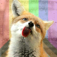 zero_fox avatar