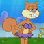 Sandy Cheeks